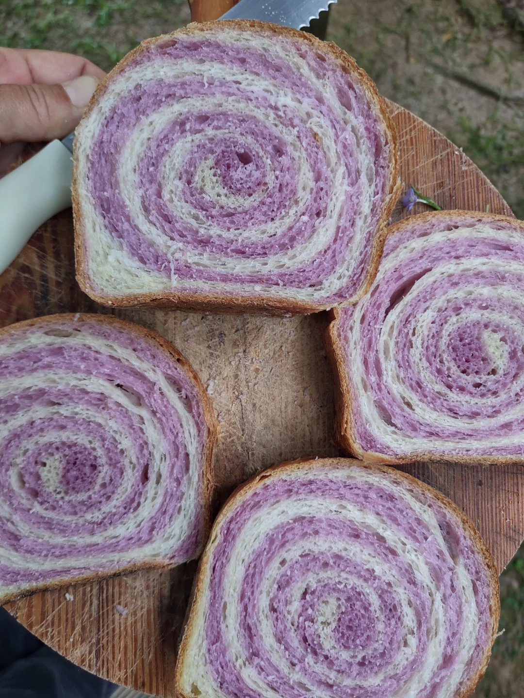 Pão de Batata-doce Roxa